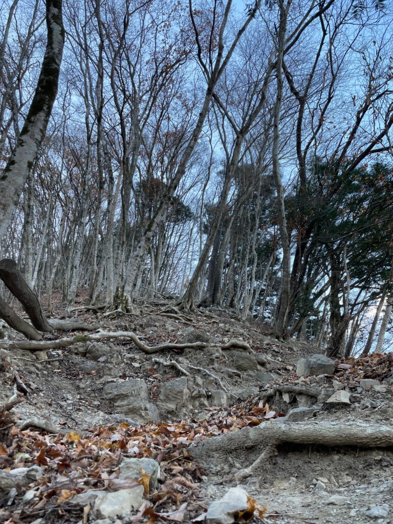 登山道画像