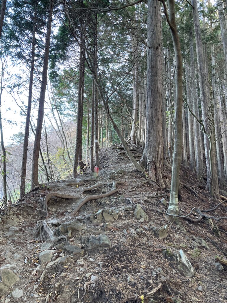 登山道