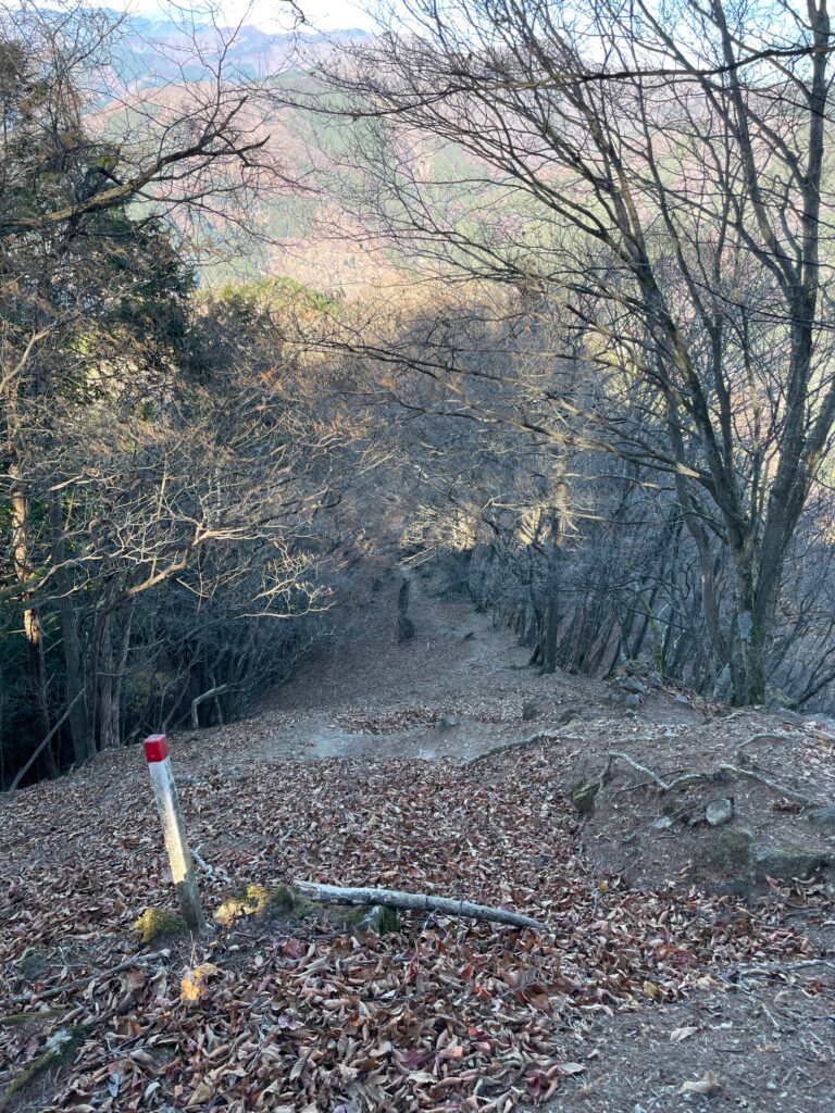 登山道