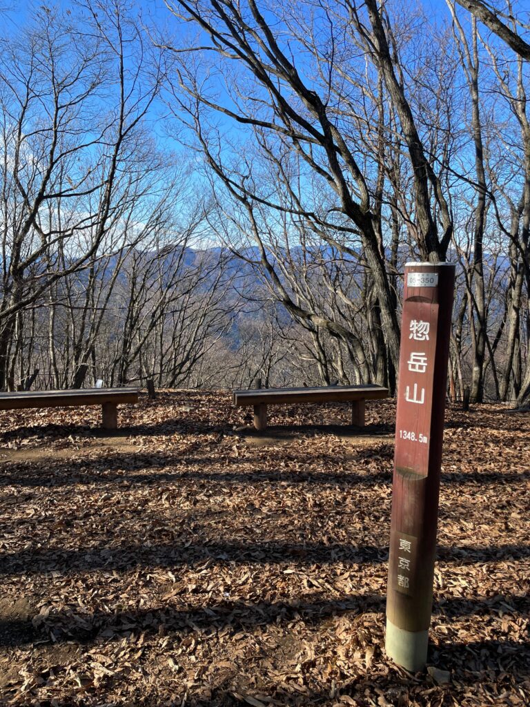 登山道