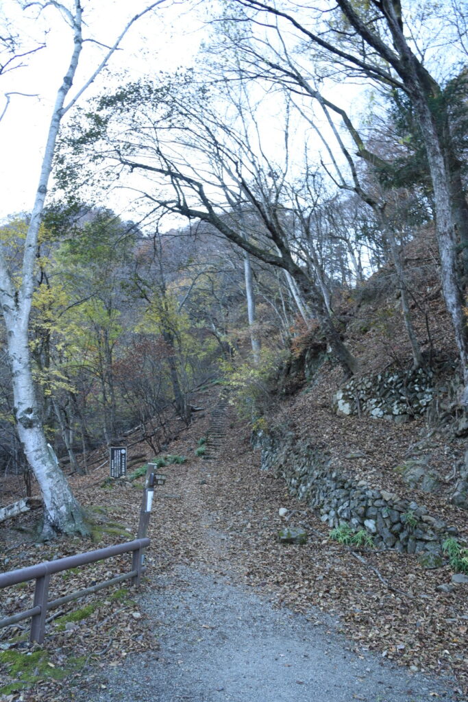 登山道画像